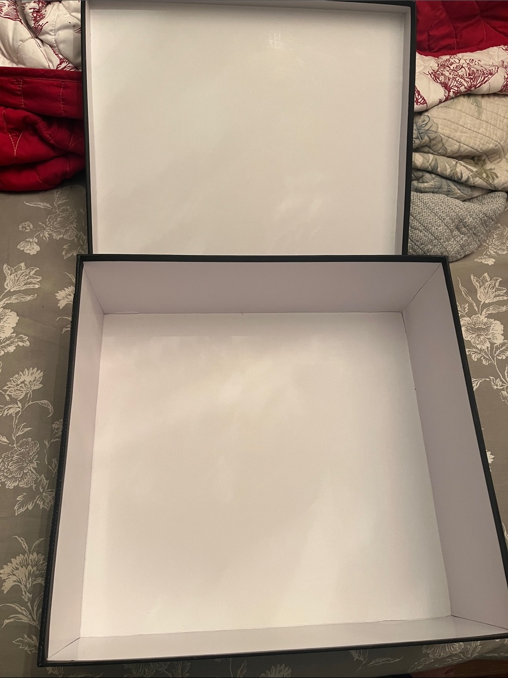Balmain Box - Picture 6 of 6